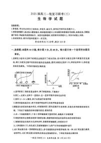 百师联盟2025届高三上学期11月一轮复习联考（三）生物试题