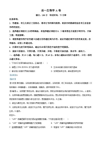 安徽省鼎尖教育2024-2025学年高一上学期11月期中考试生物（A卷）试卷（Word版附解析）