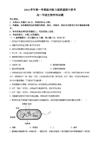 浙江省温州新力量联盟2024-2025学年高一上学期期中联考生物试题（原卷版）-A4