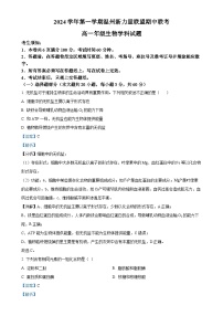 浙江省温州新力量联盟2024-2025学年高一上学期期中联考生物试题（解析版）-A4