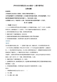 四川省泸州市龙马潭区2024-2025学年高一上学期11月期中生物试题（解析版）-A4