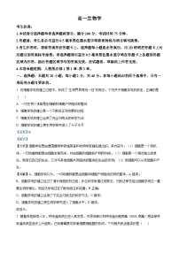 河南省九师联考2024-2025学年高一上学期11月期中生物试题 含解析