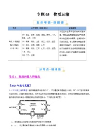 五年高考真题（2020-2024）分类汇编 生物 专题03 物质运输 含解析