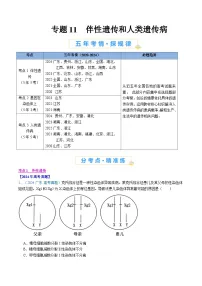 五年高考真题（2020-2024）分类汇编 生物 专题11 伴性遗传和人类遗传病 含解析