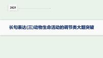 2025届生物高考  二轮复习  长句表达(三)动物生命活动的调节类大题突破 课件