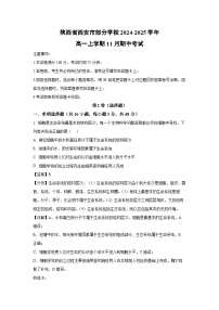 2024~2025学年陕西省西安市部分学校高一(上)11月期中考试生物试卷(解析版)