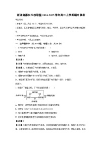 2024~2025学年浙江省嘉兴八校联盟高二(上)期中联考生物试卷(解析版)