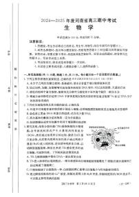 河南省金太阳2024-2025学年高三上学期11月期中联考生物试题