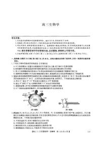 九师联盟2025届高三上学期教学质量监测11月联考试题 生物 PDF版含解析