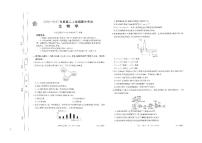 河南省金太阳2024-2025学年高二上学期期中联考生物试题