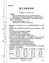 河南省驻马店市2024-2025学年高三上学期期中考试生物试题
