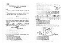 四川省自贡市普高2025届高三上学期高考第一次诊断性考试生物试题