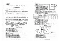 四川省自贡市普高2025届高三上学期高考第一次诊断性考试生物试题