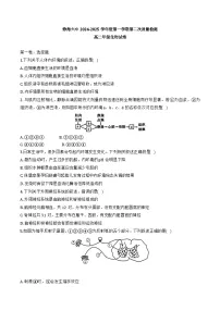天津市静海区天津市静海区第六中学2024-2025学年高二上学期11月期中生物试题