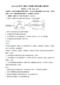 河南省郑州市十校联考2024-2025学年高二上学期11月期中生物试题  含解析