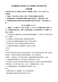 四川省泸州市泸县普通高中共同体2024-2025学年高二上学期11月期中考试生物试题（Word版附解析）