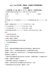 江苏省扬州市高邮市2024-2025学年高一上学期11月期中考试生物试题（Word版附解析）