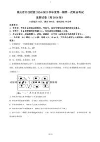 重庆市名校联盟2024～2025学年高二(上)期中生物试卷(含答案)