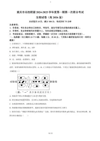 重庆市名校联盟2024～2025学年高二(上)期中生物试卷(含答案)
