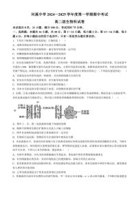 广东省汕头市潮阳区河溪中学2024～2025学年高二(上)期中生物试卷(含答案)