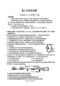 2024年陕西金太阳高三上学期11月生物试题