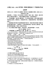 广东省大湾区2022-2023学年高二上学期期末生物试题