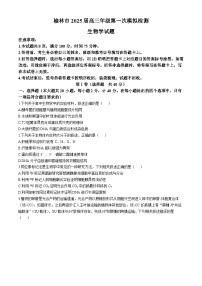 2025榆林高三上学期11月期中考试生物含答案