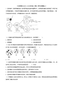 上海市2023_2024学年高二生物上学期10月月考试题含解析