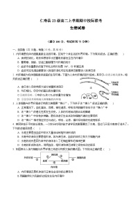 四川省眉山市仁寿县2024-2025学年高二上学期11月期中校际联考生物试题