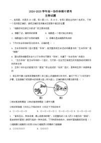 四川省眉山市仁寿县协作体2024-2025学年高一上学期11月期中联考生物试题