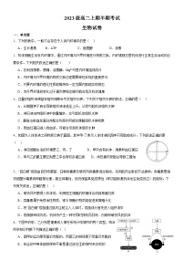 四川省眉山市东坡区冠城实验学校2024-2025学年高二上学期11月期中生物试题