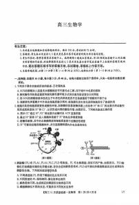 九师联盟河南2024-2025学年高三上学期11.28教学质量检测生物试卷及答案