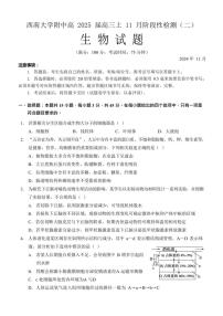 2024～2025学年重庆市西南大学附属中学校高三(上)11月阶段性检查生物试卷(二)(含答案)