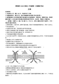 贵州省黔南布依族苗族自治州2025届高三第一次模拟考试生物试题