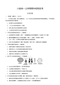 四川省眉山市仁寿县2024-2025学年高一上学期11月期中校际联考生物试题