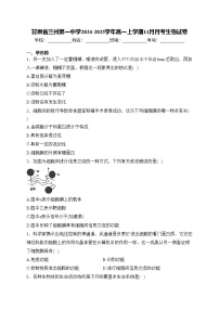 甘肃省兰州第一中学2024-2025学年高一上学期11月月考生物试卷(含答案)