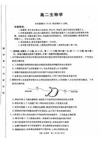 广东省佛山市H7联盟2024-2025学年高二上学期期中联考生物试题