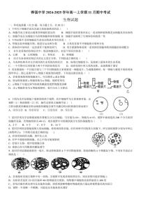 2024～2025学年四川省眉山市仁寿县铧强中学高一(上)期中生物试卷(含答案)