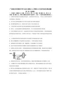 2024～2025学年广西钦州市第四中学高三(上)10月月考生物试卷(含答案)