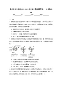 重庆市部分学校2024-2025学年高三模拟调研卷（一）生物试题