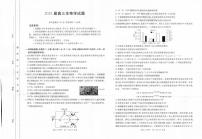 四川省部分名校2024-2025学年高三上学期期中考试生物试题