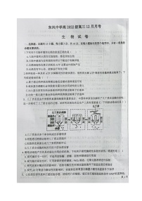 四川省南充市阆中东风学校2024-2025学年高三上学期12月月考生物试题