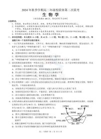 2025河池高二上学期12月联盟考试生物试题PDF版含解析