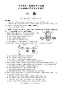 广西2024-2025学年高三上学期9月联考生物试题