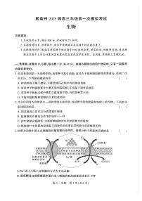 贵州省黔南布依族苗族2025届高三高考第一次模拟考-生物试卷+答案