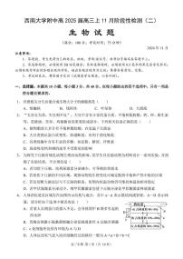 重庆市西南大学附中2025届上学期高三11月阶段性检测（二）-生物试题+答案