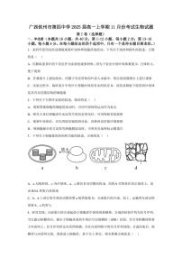 2024～2025学年广西钦州市第四中学高一(上)11月份考试生物试卷(含答案)