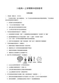 2024～2025学年四川省眉山市仁寿县高一(上)期中校际联考生物试卷(含答案)