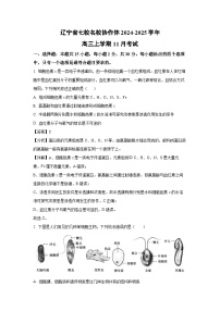 2024~2025学年辽宁省七校名校协作体高三上学期11月考试生物试卷(解析版)