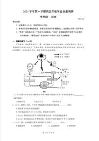 上海市奉贤区2024-2025学年高三一模生物试卷及答案